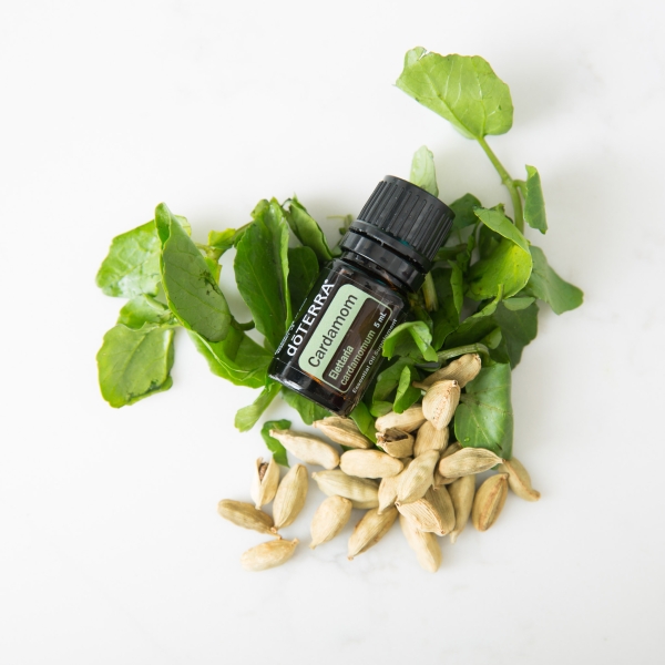 Эфирное масло doTERRA Кардамон, Cardamom, 5 мл - Однокомпонентные эфирные масла - Каталог товаров