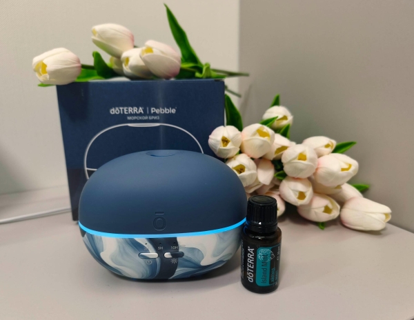 Набор dōTERRA «Аквамариновая весна» диффузор Pebble (100 мл) и смесь «Айлэнд минт» (15 мл) - Диффузоры - Каталог товаров
