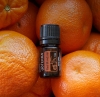 Эфирное масло doTERRA Красный мандарин, Red Mandarin, 5 мл - Однокомпонентные эфирные масла - Каталог товаров