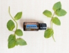 Эфирное масло doTERRA Мята перечная, Peppermint, 15 мл - Однокомпонентные эфирные масла - Каталог товаров