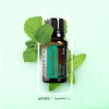 "СуперМинт" смесь эфирных масел мяты, doTERRA SuperMint, 15 мл - Смеси эфирных масел - Каталог товаров