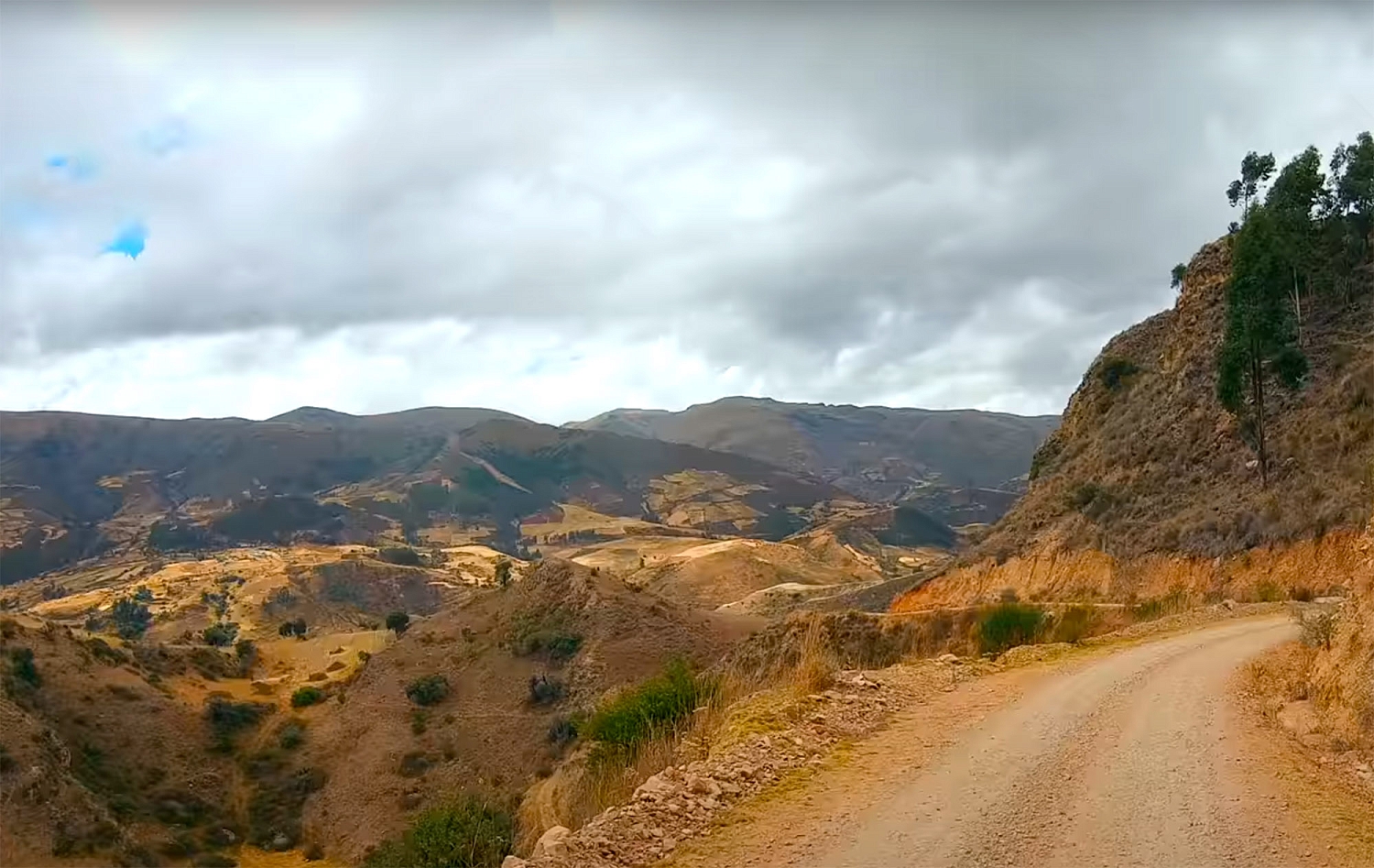 Эфирное масло 'Розовый перец'
