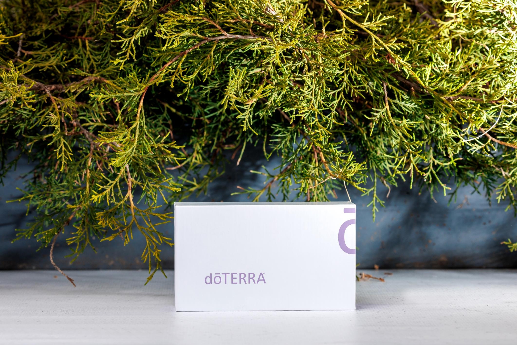 Подарочная коробка с держателем на 2 масла по 5 или 15 мл - Для использования масел - Каталог товаров