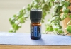 "Дип Блю" успокаивающая смесь эфирных масел для массажа, doTERRA Deep Blue, 5 мл - Смеси эфирных масел - Каталог товаров