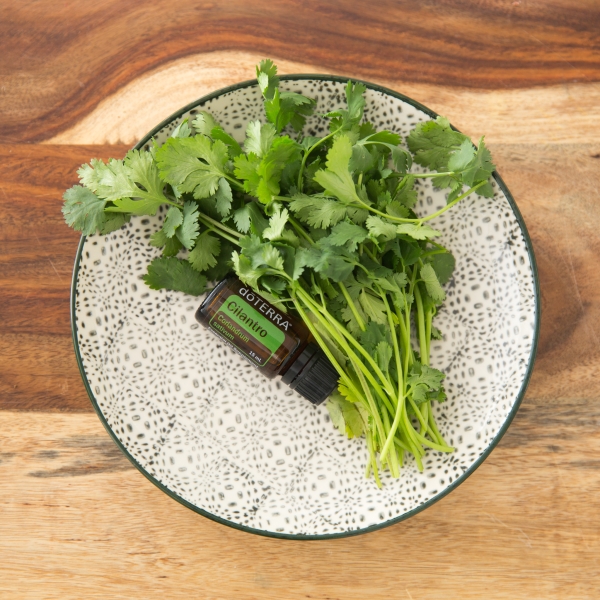 Эфирное масло doTERRA Кинза, Cilantro, 15 мл - Однокомпонентные эфирные масла - Каталог товаров