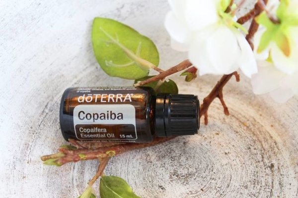 Эфирное масло doTERRA Копайба, Copaiba, 15 мл - Однокомпонентные эфирные масла - Каталог товаров