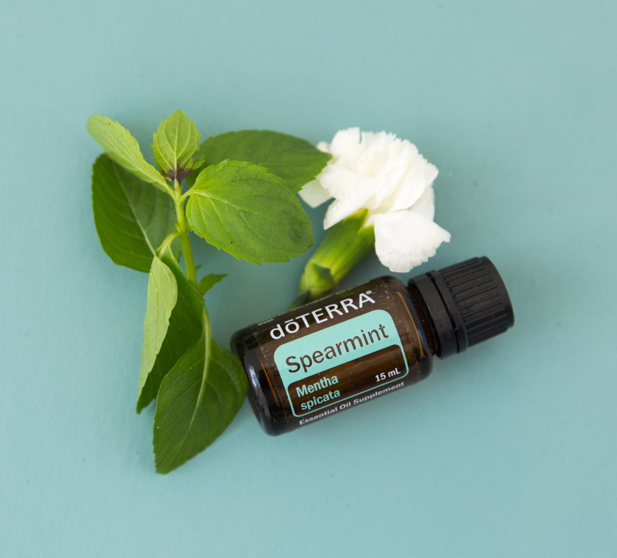 Эфирное масло doTERRA Садовая мята, Spearmint, 15 мл - Однокомпонентные эфирные масла - Каталог товаров