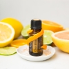 "Цитрус Блисс" тонизирующая смесь, doTERRA Citrus Bliss, 15 мл - Смеси эфирных масел - Каталог товаров