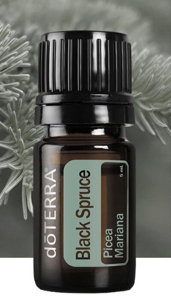 Эфирное масло doTERRA 'Чёрная ель' ('Black Spruce') - Однокомпонентные эфирные масла - Каталог товаров