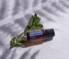 Эфирное масло doTERRA Мята перечная, Peppermint, 15 мл - Однокомпонентные эфирные масла - Каталог товаров