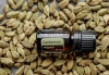 Эфирное масло doTERRA Кардамон, Cardamom, 5 мл - Однокомпонентные эфирные масла - Каталог товаров