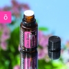 "Цитрус Блум" смесь весенних ароматов, doTERRA Citrus Bloom, 15 мл - Смеси эфирных масел - Каталог товаров