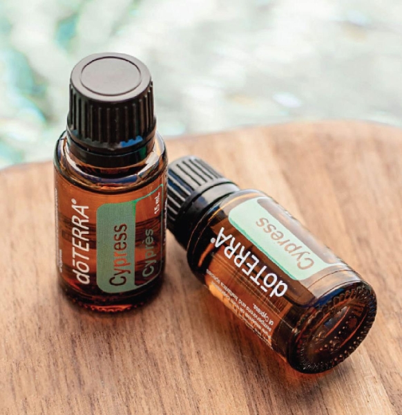 Эфирное масло doTERRA Кипарис, Cypress, 15 мл - Однокомпонентные эфирные масла - Каталог товаров