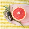 Эфирное масло doTERRA Грейпфрут, Grapefruit, 15 мл - Однокомпонентные эфирные масла - Каталог товаров