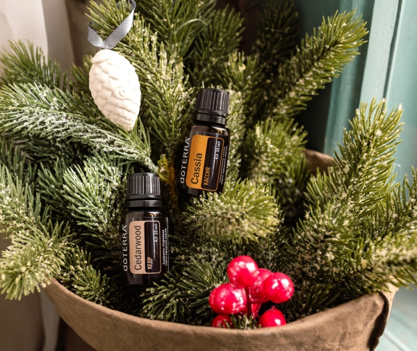 Эфирное масло doTERRA Кассия, Cassia, 15 мл - Однокомпонентные эфирные масла - Каталог товаров