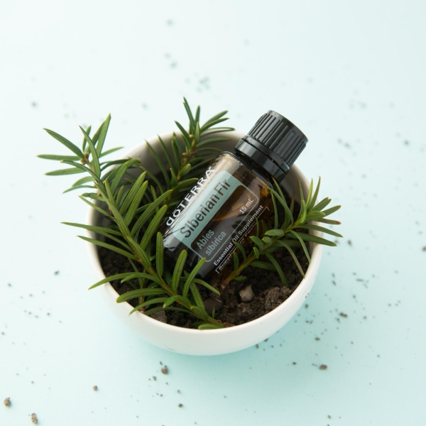 Эфирное масло doTERRA Сибирская пихта, Siberian Fir, 15 мл - Однокомпонентные эфирные масла - Каталог товаров