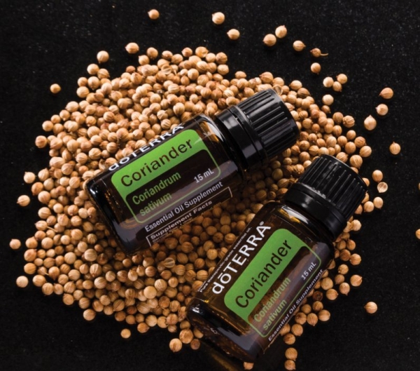 Эфирное масло doTERRA Кориандр, Coriander, 15 мл - Однокомпонентные эфирные масла - Каталог товаров