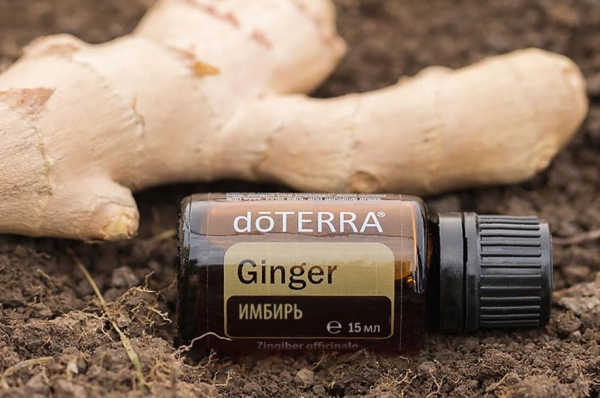 Эфирное масло doTERRA Имбирь, Ginger, 15 мл - Однокомпонентные эфирные масла - Каталог товаров