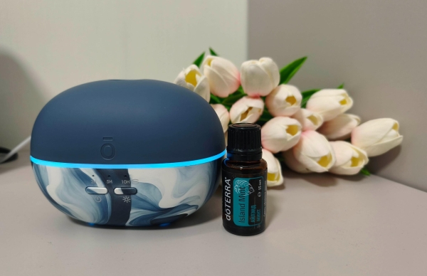 Набор dōTERRA «Аквамариновая весна» диффузор Pebble (100 мл) и смесь «Айлэнд минт» (15 мл) - Диффузоры - Каталог товаров