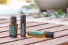"СуперМинт" смесь эфирных масел мяты, doTERRA SuperMint Touch, роллер 10 мл - Смеси эфирных масел - Каталог товаров