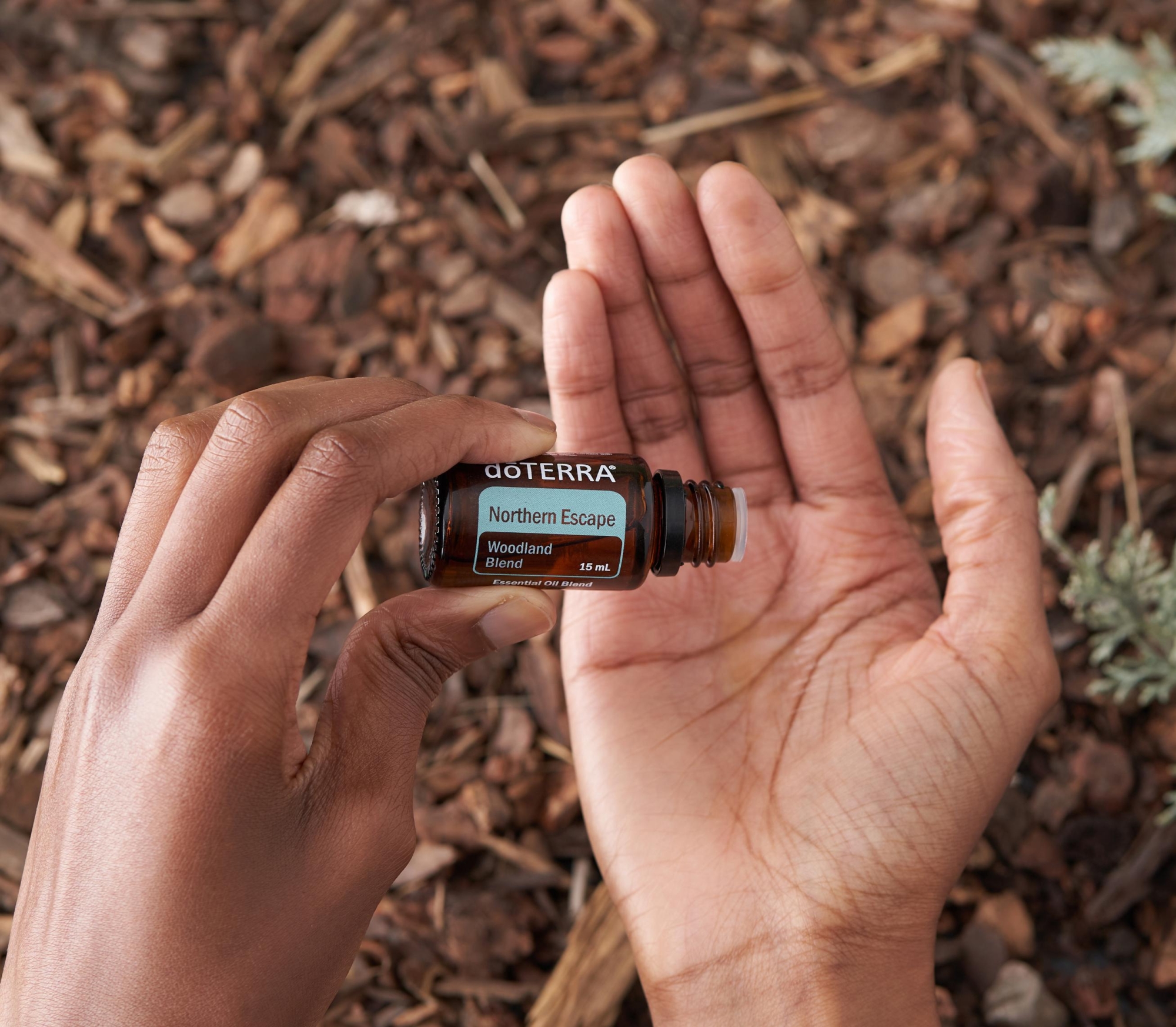 "Северное сияние" смесь эфирных масел, doTERRA Northern Escape, 15 мл - Смеси эфирных масел - Каталог товаров