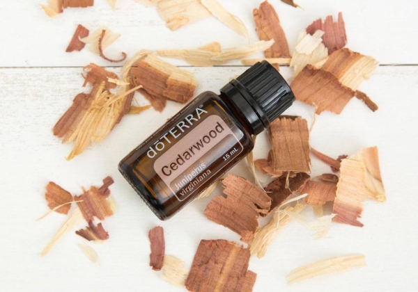 Эфирное масло doTERRA Кедр, Cedarwood, 15 мл - Однокомпонентные эфирные масла - Каталог товаров