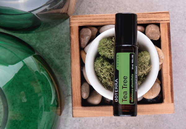 doTERRA Touch Чайное дерево, Tea Tree, роллер 10 мл - Однокомпонентные эфирные масла - Каталог товаров