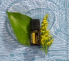 Эфирное масло doTERRA Бессмертник, Helichrysum, 5 мл - Однокомпонентные эфирные масла - Каталог товаров