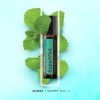"СуперМинт" смесь эфирных масел мяты, doTERRA SuperMint Touch, роллер 10 мл - Смеси эфирных масел - Каталог товаров