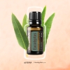 Смесь эфирных масел doTERRA Эвкалипт (из 5-ти уникальных видов), Eucalyptus, 15 мл - Однокомпонентные эфирные масла - Каталог товаров