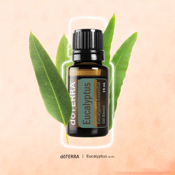 Смесь эфирных масел doTERRA Эвкалипт (из 5-ти уникальных видов), Eucalyptus, 15 мл - Однокомпонентные эфирные масла - Каталог товаров