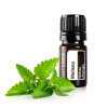 Эфирное масло doTERRA Мелисса, Melissa, 5 мл - Однокомпонентные эфирные масла - Каталог товаров