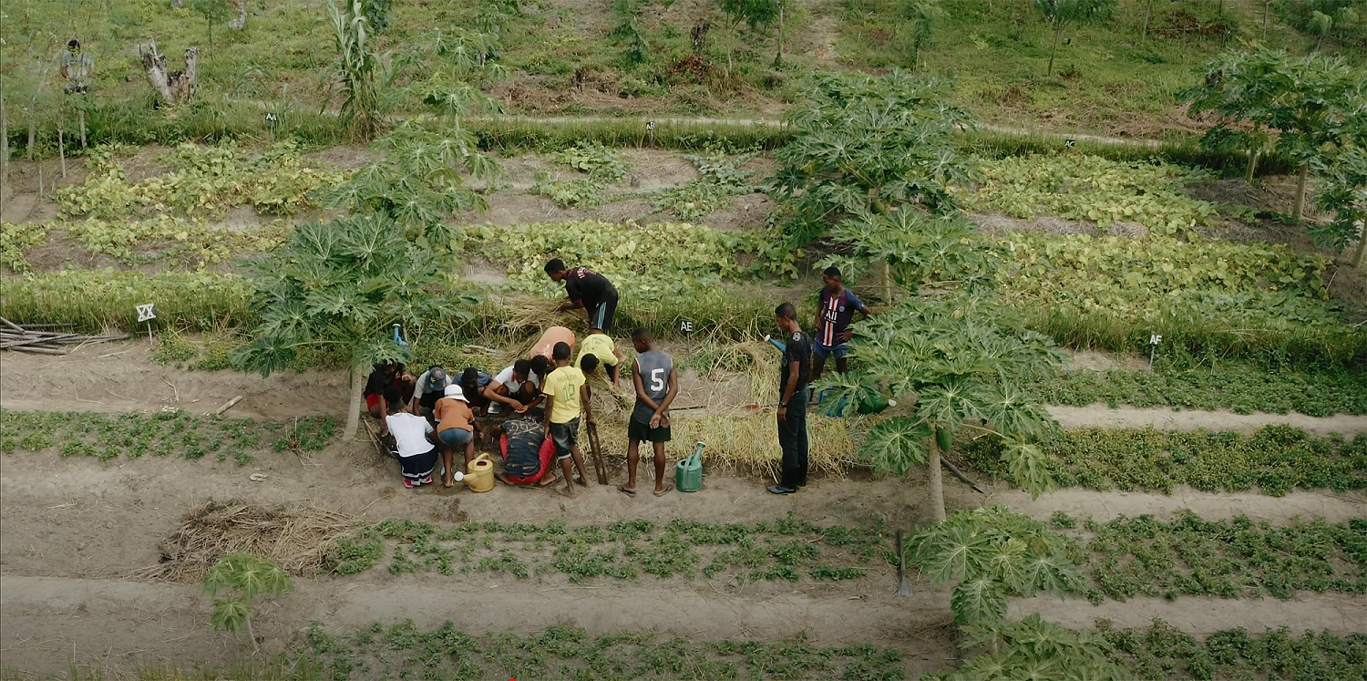 Эфирное масло 'Мадагаскарская ваниль'