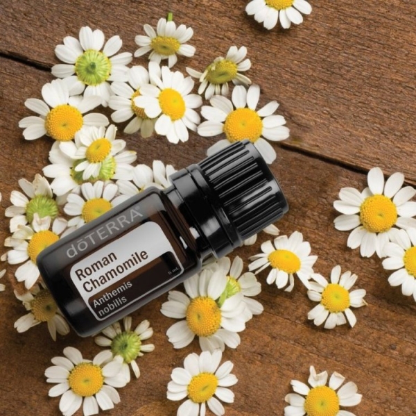 Эфирное масло doTERRA Римская ромашка, Roman Chamomile, 5 мл - Однокомпонентные эфирные масла - Каталог товаров