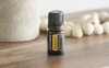 Эфирное масло doTERRA Бессмертник, Helichrysum, 5 мл - Однокомпонентные эфирные масла - Каталог товаров