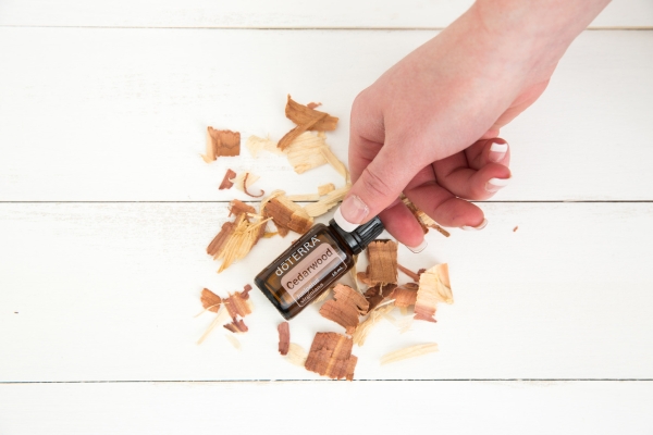 Эфирное масло doTERRA Кедр, Cedarwood, 15 мл - Однокомпонентные эфирные масла - Каталог товаров