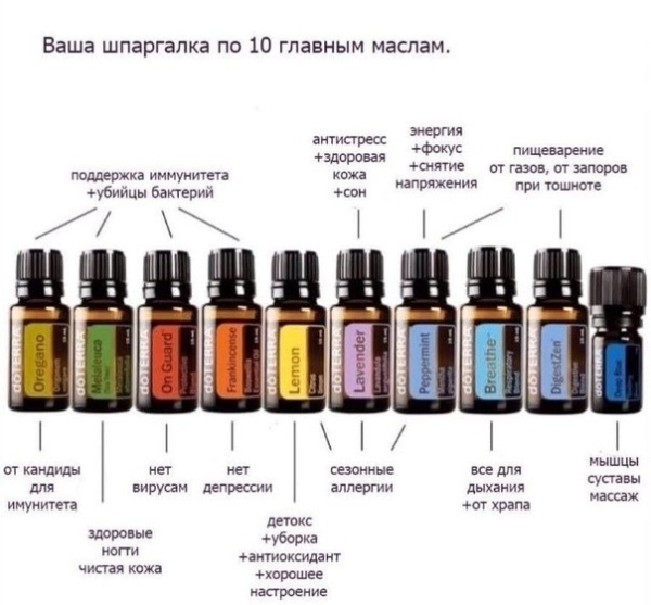 Набор эфирных масел doTERRA "Эфирный дом", 9х15 мл и 1х5 мл с диффузором и подставкой - Наборы эфирных масел - Каталог товаров