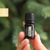 Эфирное масло doTERRA Хиноки, Hinoki, 5 мл - Однокомпонентные эфирные масла - Каталог товаров