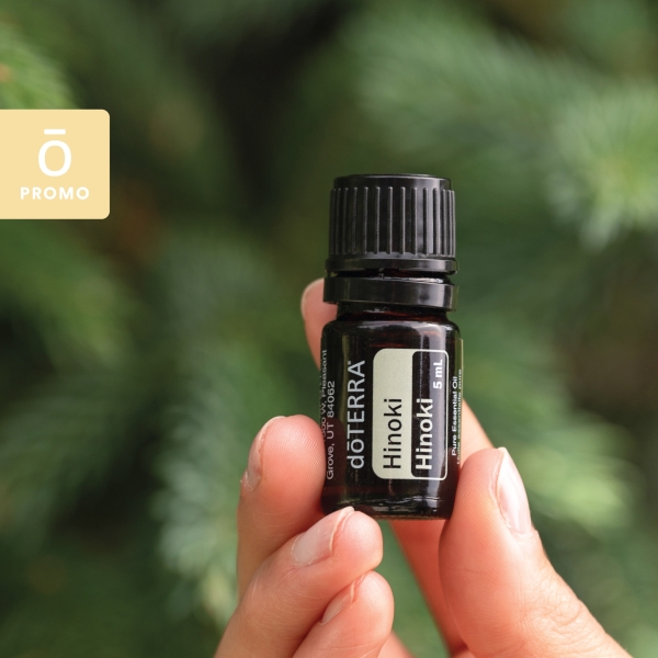 Эфирное масло doTERRA Хиноки, Hinoki, 5 мл - Однокомпонентные эфирные масла - Каталог товаров