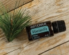 Эфирное масло doTERRA Сибирская пихта, Siberian Fir, 15 мл - Однокомпонентные эфирные масла - Каталог товаров