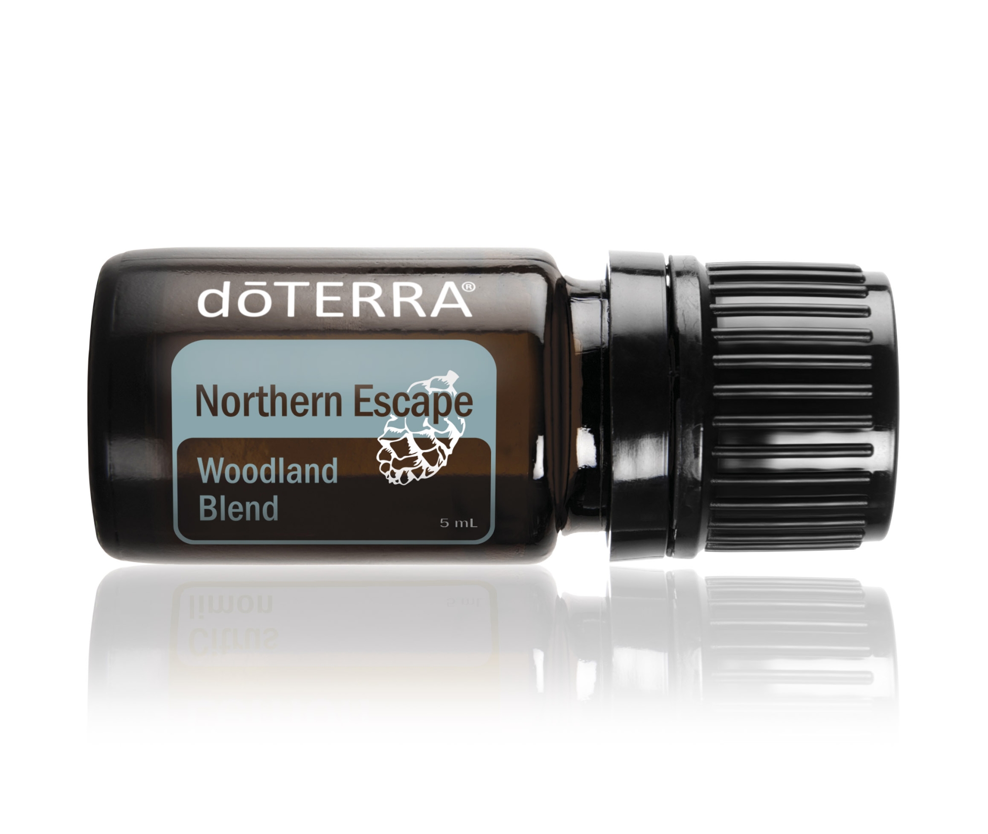 Смесь эфирных масел "Северное сияние", doTERRA "Northern Escape", 5 мл - Смеси эфирных масел - Каталог товаров