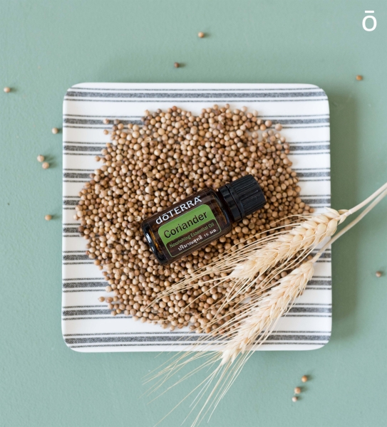 Эфирное масло doTERRA Кориандр, Coriander, 15 мл - Однокомпонентные эфирные масла - Каталог товаров