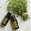 Эфирное масло doTERRA Тимьян, Thyme, 15 мл - Однокомпонентные эфирные масла - Каталог товаров