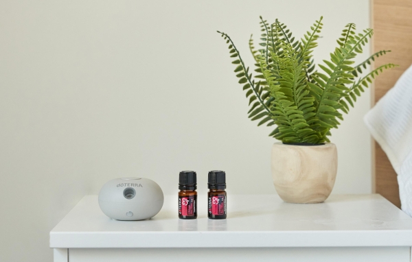 Смесь эфирных масел doTERRA 'Холидей лав' ('Holiday Love') - Смеси эфирных масел - Каталог товаров