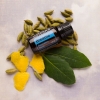 "Бриз" респираторная смесь эфирных масел, doTERRA Breathe, 15 мл - Смеси эфирных масел - Каталог товаров