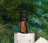 Эфирное масло doTERRA Гвоздика, Clove, 15 мл - Однокомпонентные эфирные масла - Каталог товаров