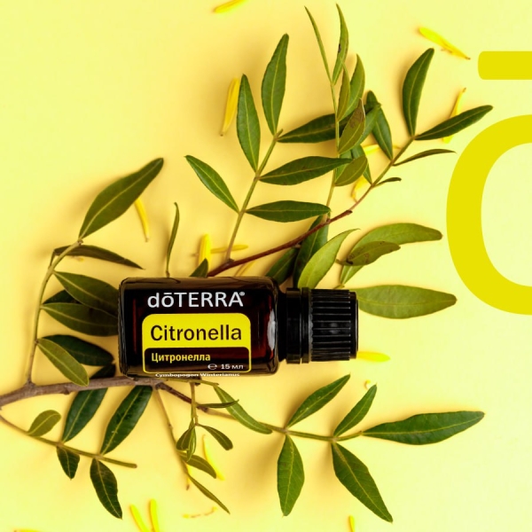 Эфирное масло doTERRA Цитронелла, Citronella, 15 мл - Однокомпонентные эфирные масла - Каталог товаров