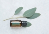 Смесь эфирных масел doTERRA Эвкалипт (из 5-ти уникальных видов), Eucalyptus, 15 мл - Однокомпонентные эфирные масла - Каталог товаров