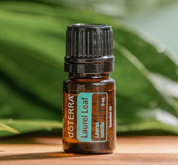 Эфирное масло doTERRA Лавровый лист, Laurel Leaf, 5 мл - Однокомпонентные эфирные масла - Каталог товаров