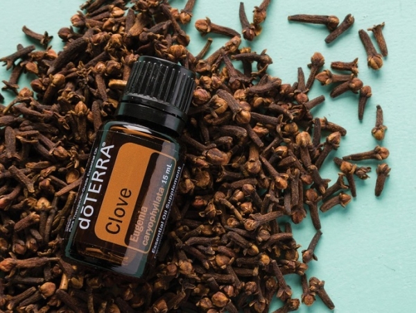Эфирное масло doTERRA Гвоздика, Clove, 15 мл - Однокомпонентные эфирные масла - Каталог товаров